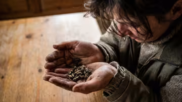 Intimní záběr nad hlavou hledící dolů do Marceliných sevřených, špinavých rukou, držících hrst neživých, stále dokonale tvarovaných včel.